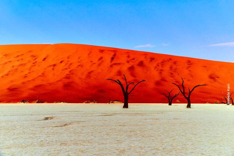 Deadvlei in Namibia