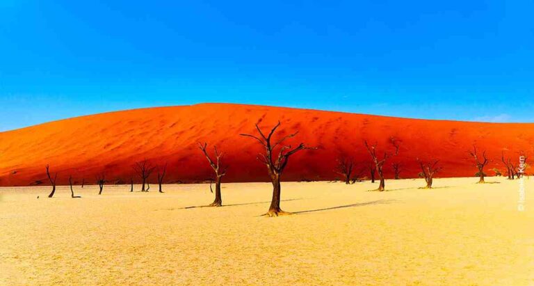 Namibias karge Schönheit