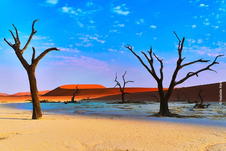 Deadvlei in der namibischen Wüste