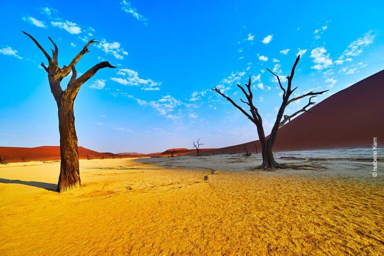Licht und Schatten in der Namib-Wüste