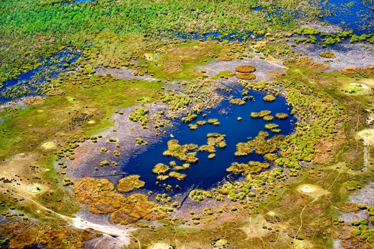 Okavango-Delta in Botswana