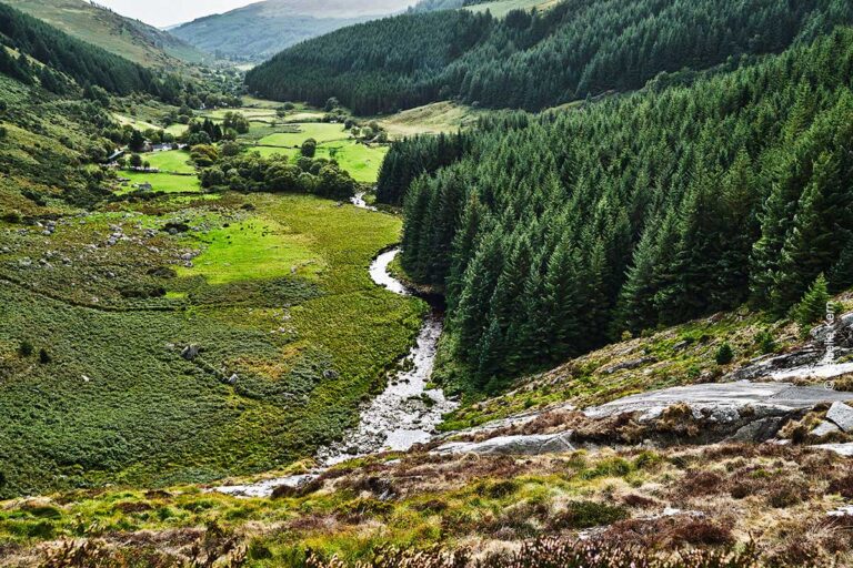 Ein Bach schlängelt sich durch die Wicklow Mountains, Irland